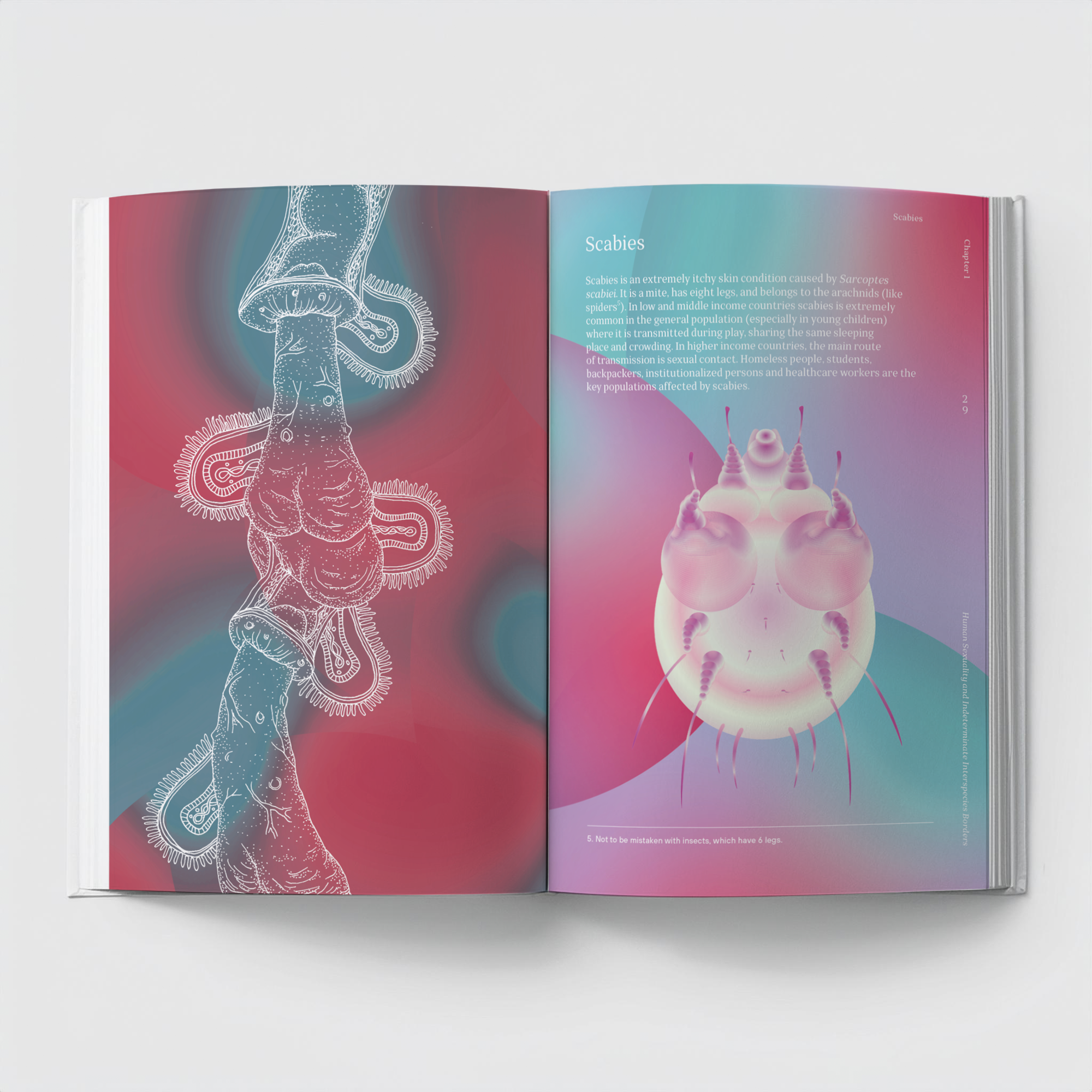 art Book Atlas of Queer Anatomy Human Sexuality and Indeterminate Interspecies Borders STI