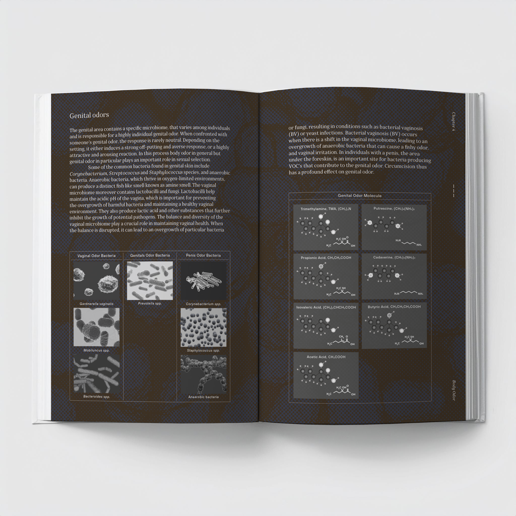 art Book Atlas of Queer Anatomy