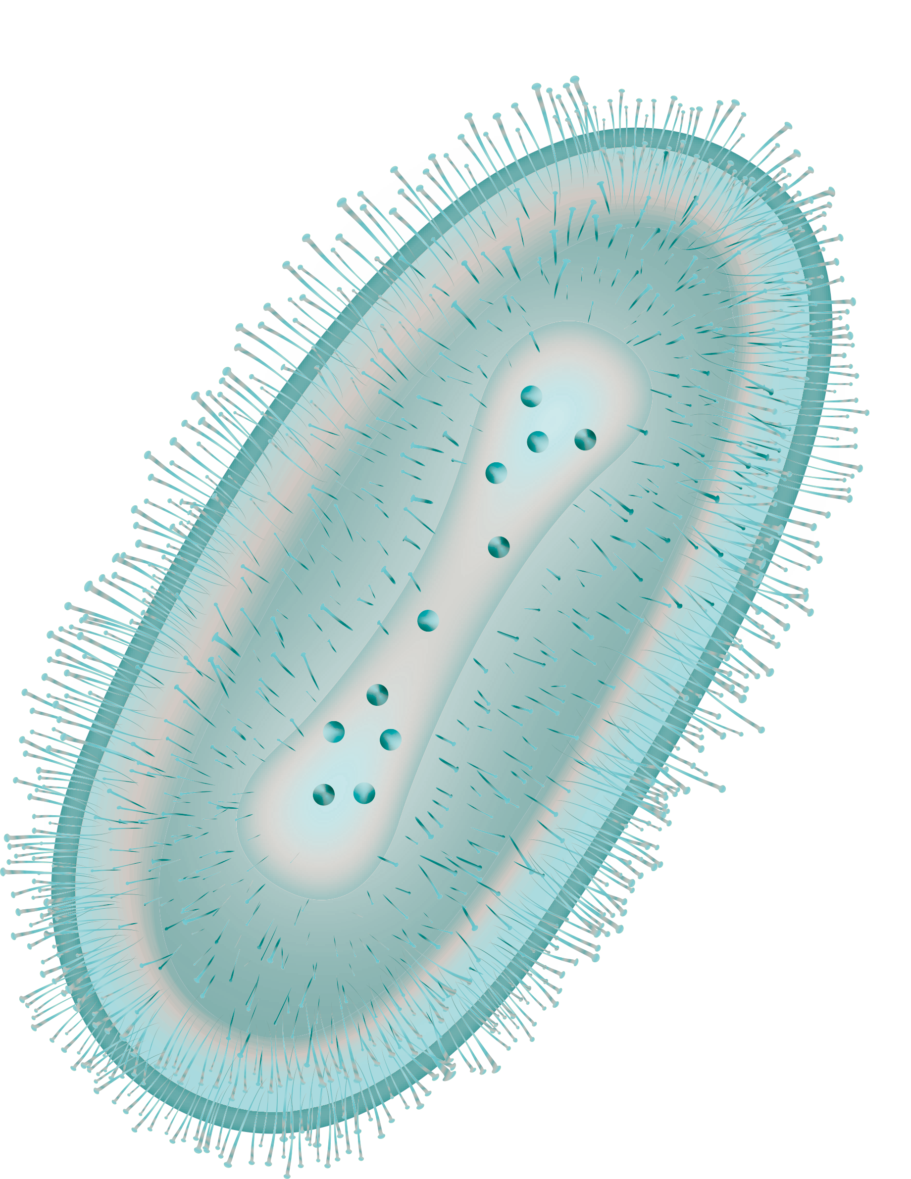 virus Mpox