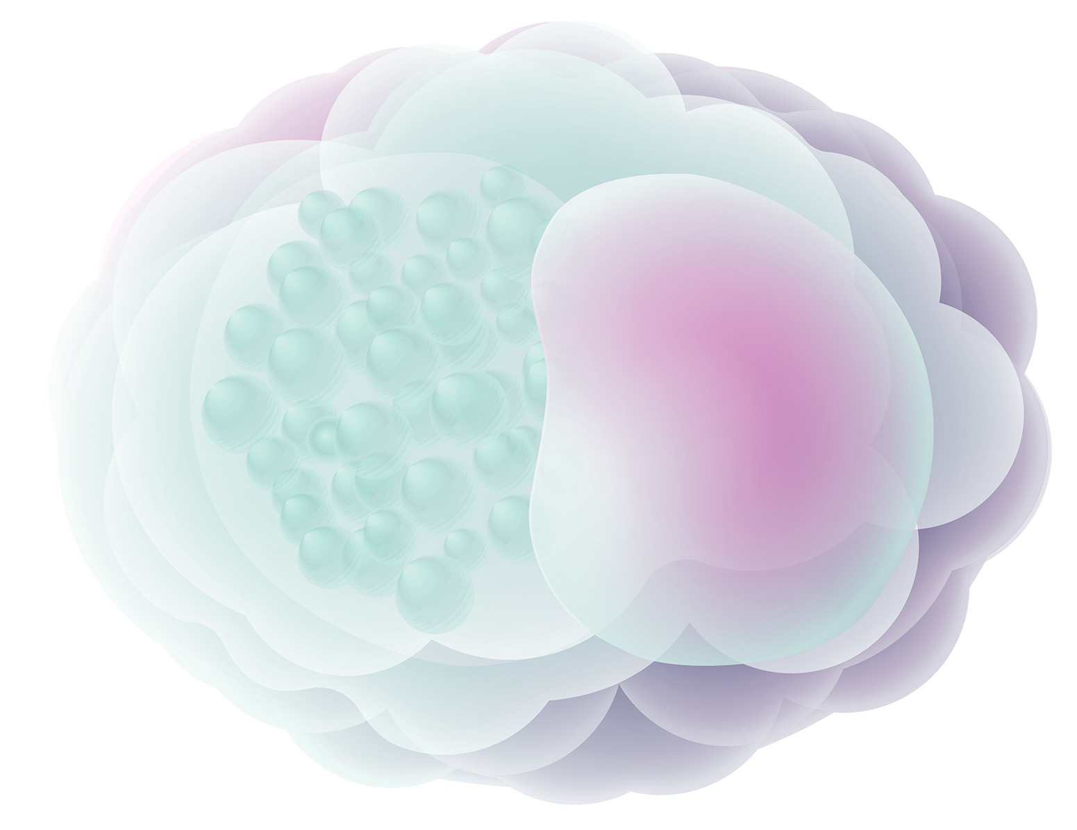 virus chlamydia