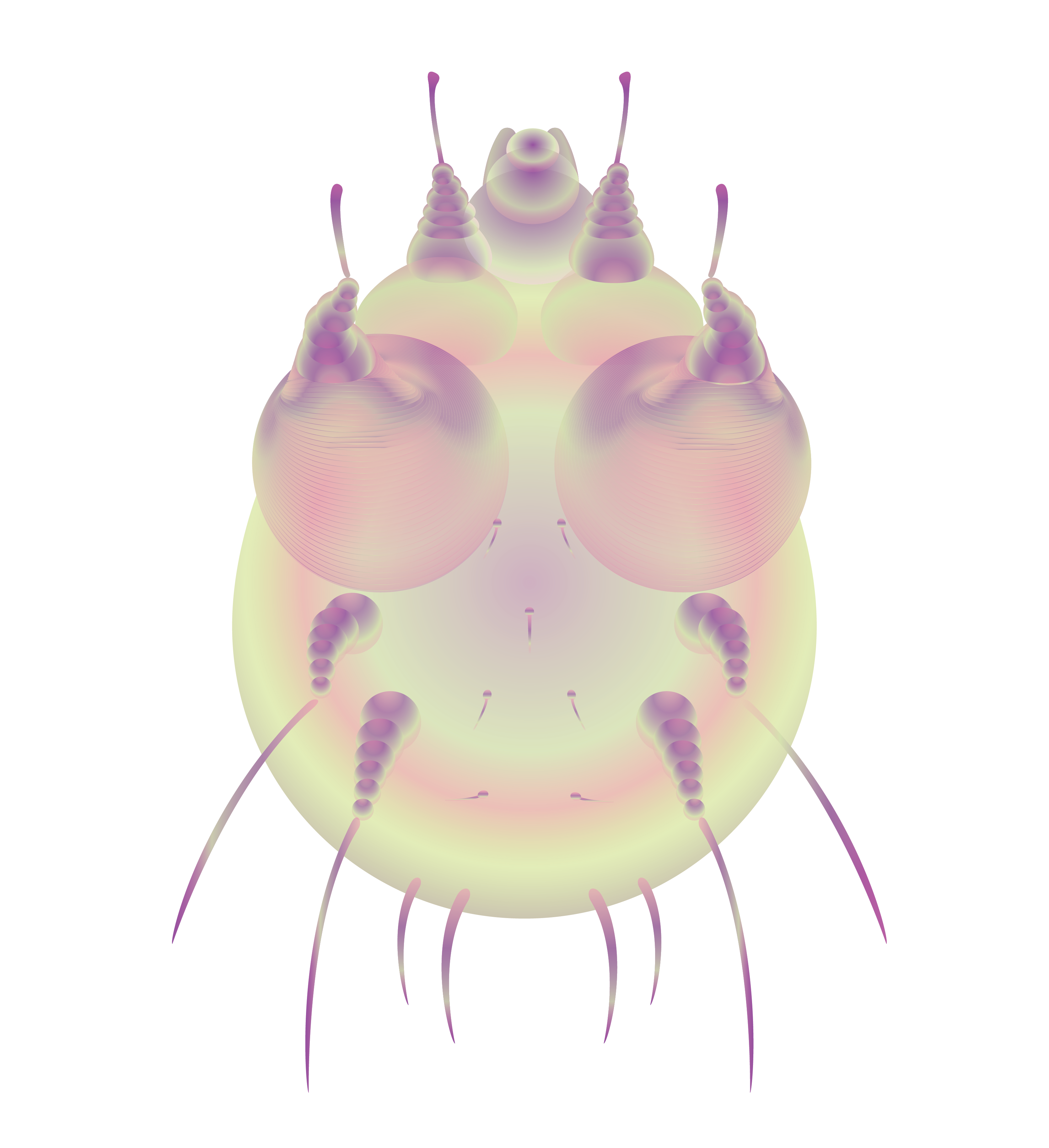 virus scabies