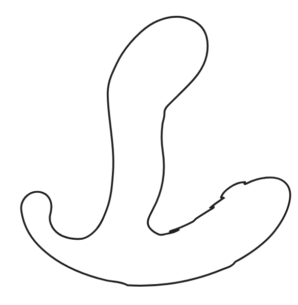 Prostate Massager